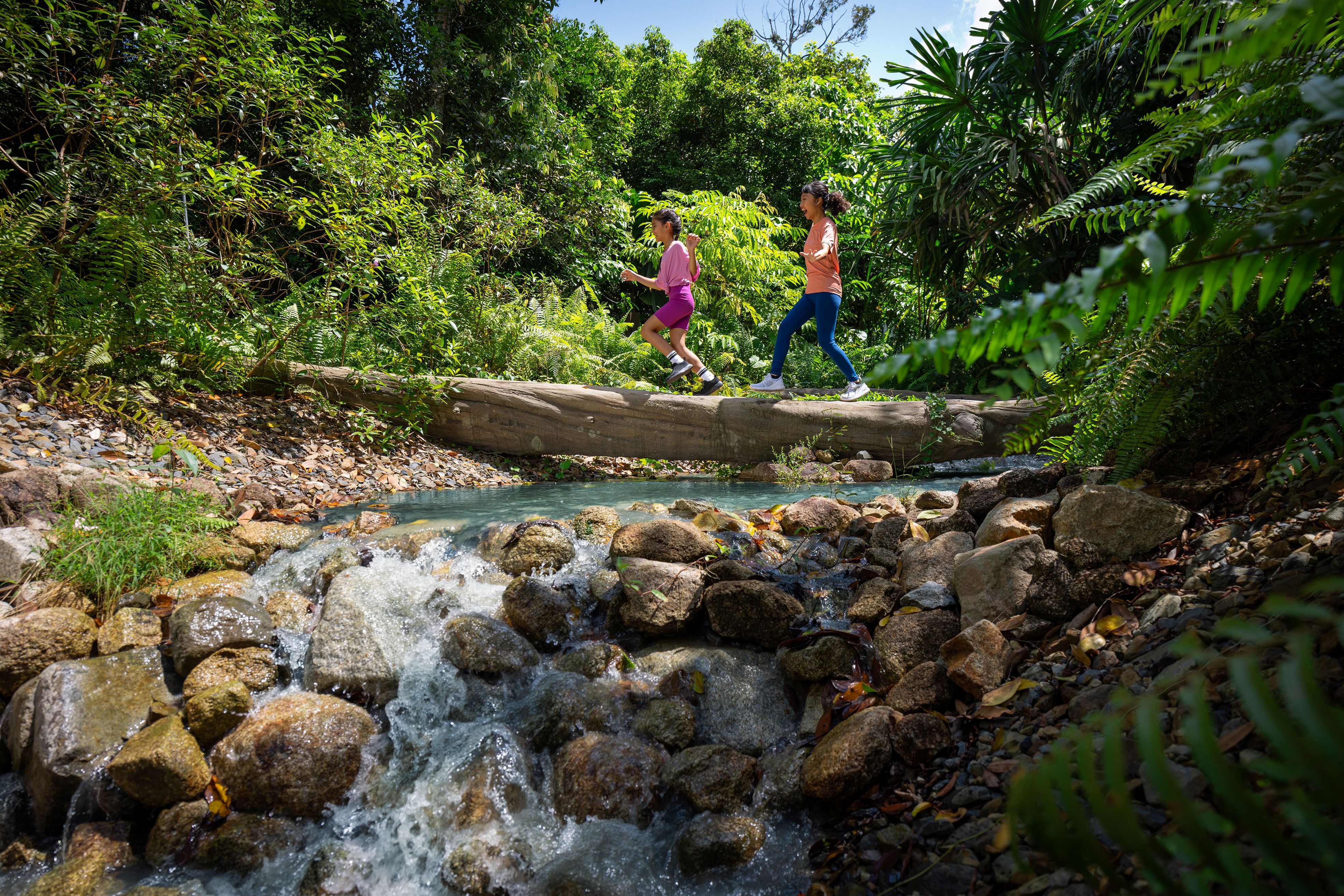 BTSGMR_RFW Crossing Logs